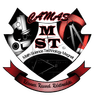 MST Magnet